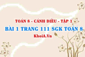 Bài 1 trang 111 SGK Toán 8 tập 1 Cánh Diều